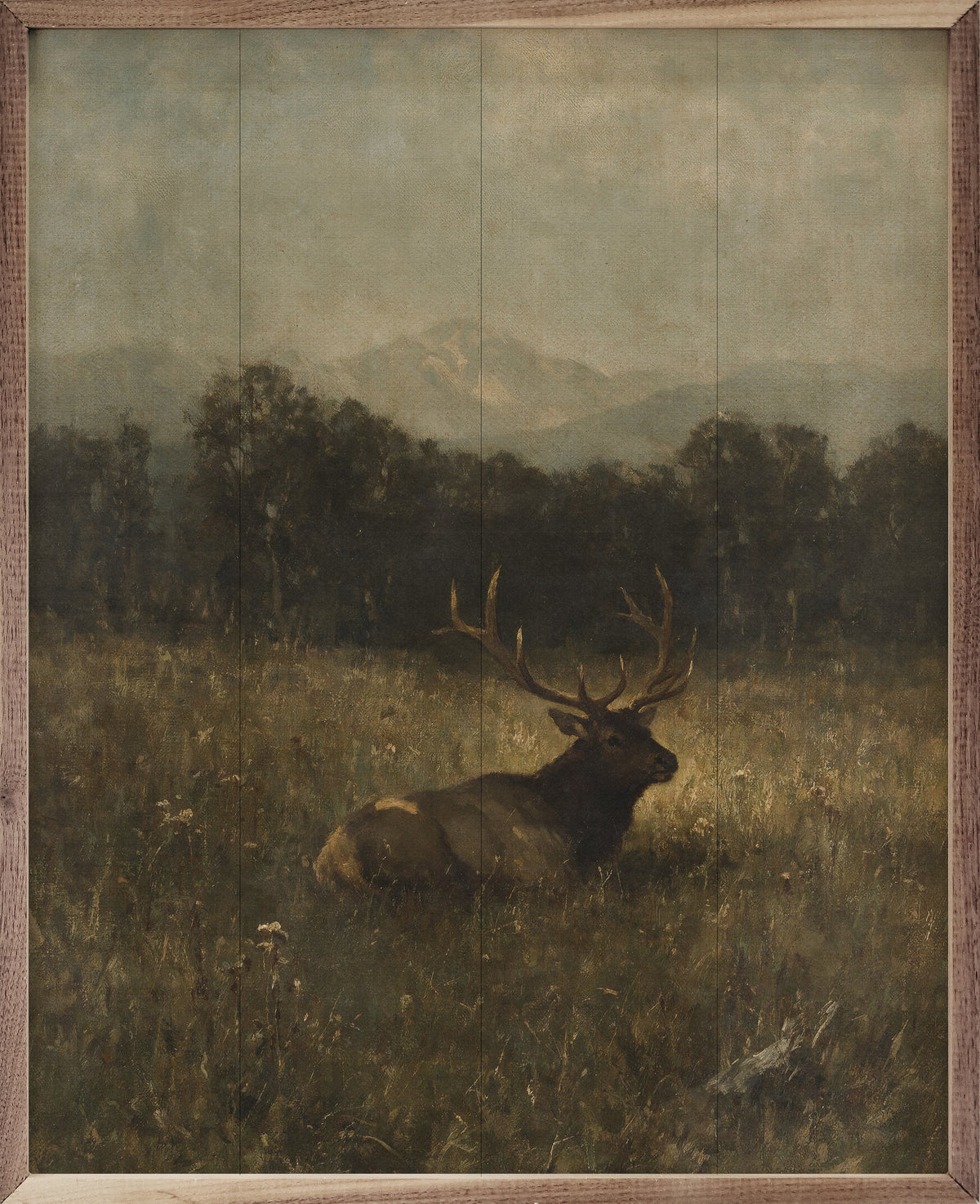 Vintage Bull Elk In A Mountain Meadow