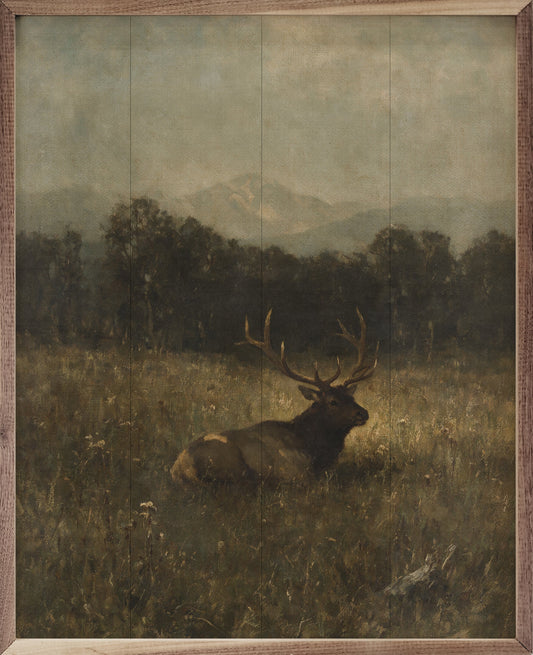 Vintage Bull Elk In A Mountain Meadow