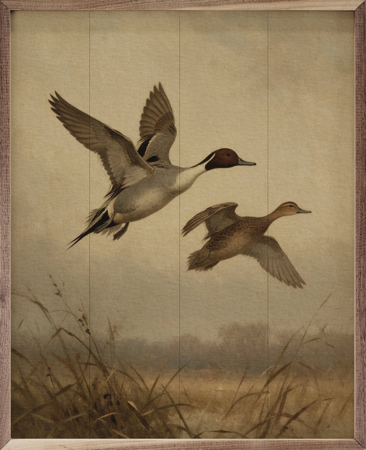 Vintage Flying Pintail Ducks Over The Marsh