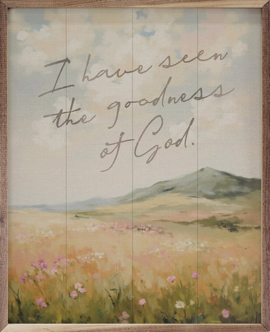 I Have Seen The Goodness