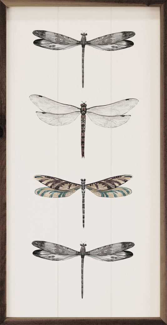 Four Dragonflies image 0