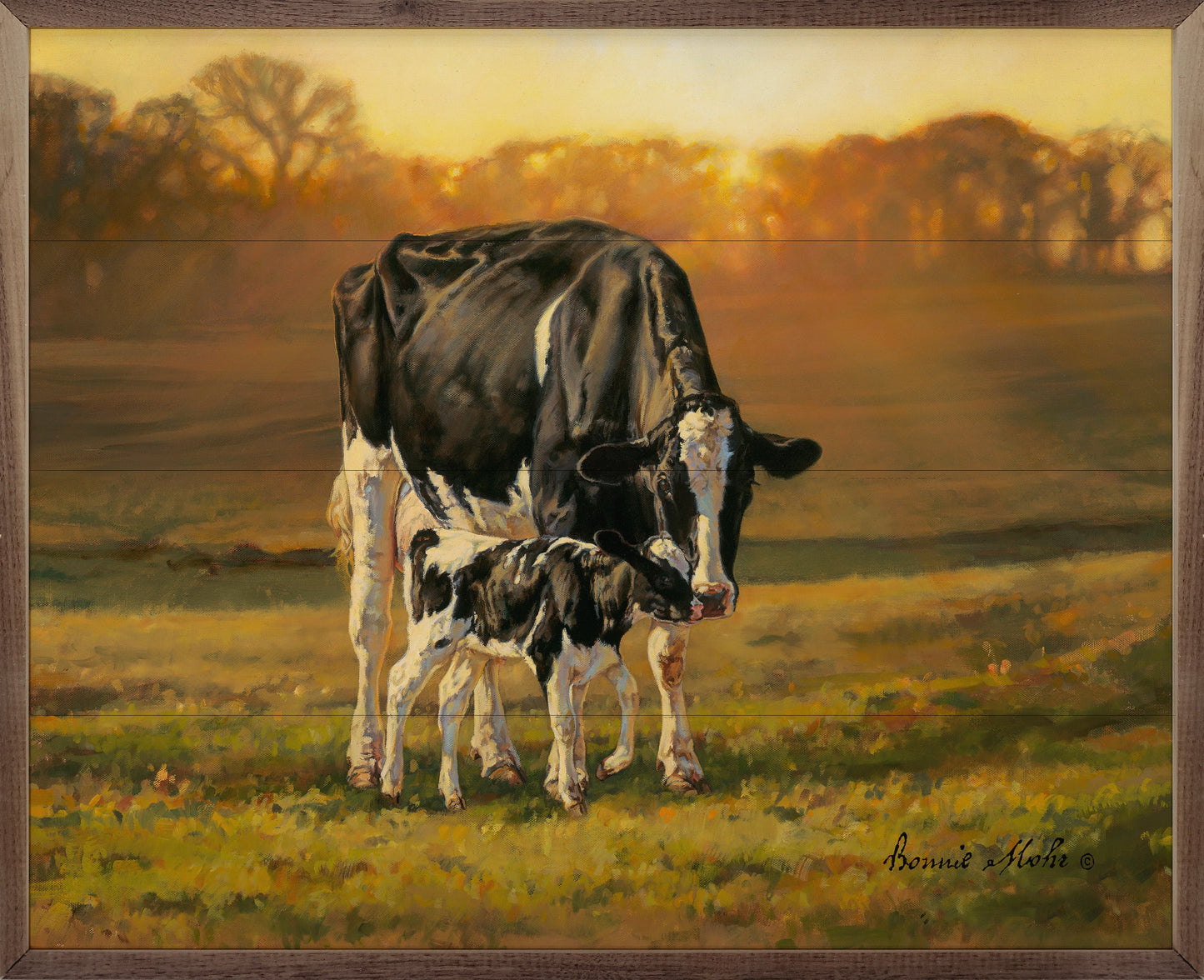 Birth Of An Industry By Bonnie Mohr