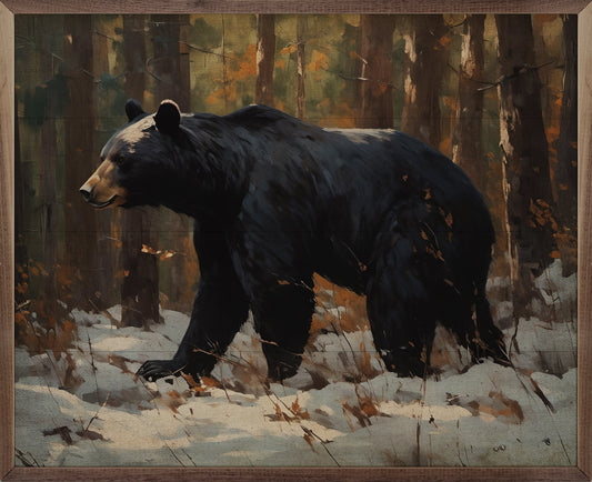 Black Bear In Snow