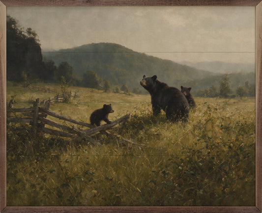 Black Bear In The Meadow