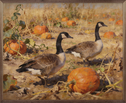 Canadian Geese In Autumn Field