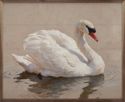 Elegant White Swan On Calm Water