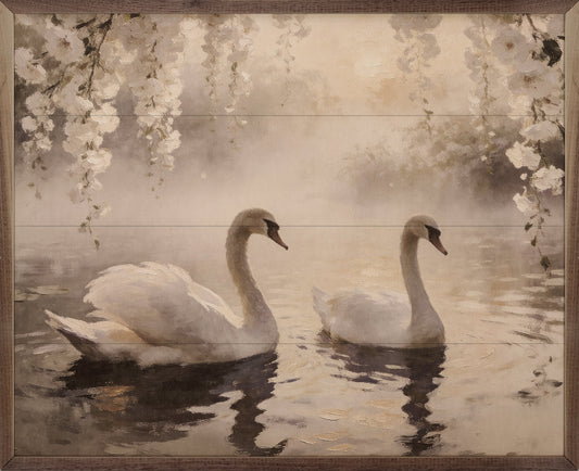 Pair Of Swans In Morning Mist