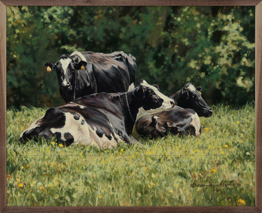 The Beautiful Cow By Bonnie Mohr