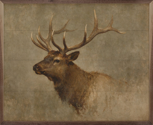 Vintage Bull Elk Portrait