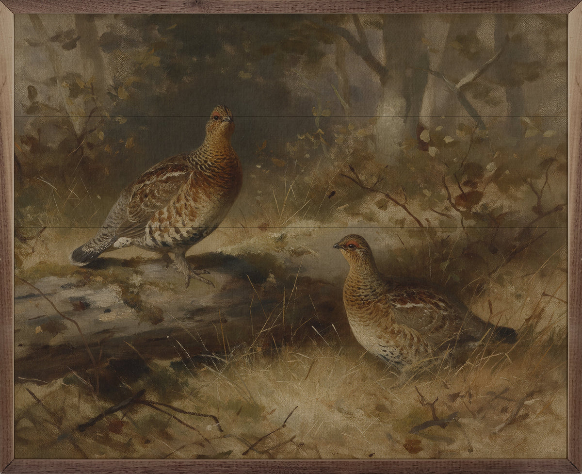Vintage Pair Of Grouse In The Forest