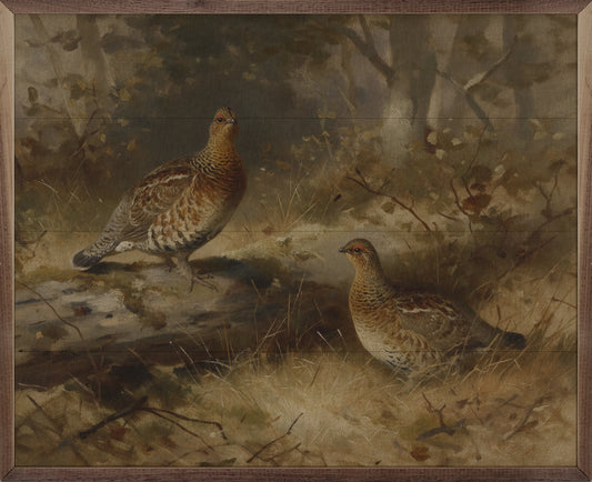Vintage Pair Of Grouse In The Forest