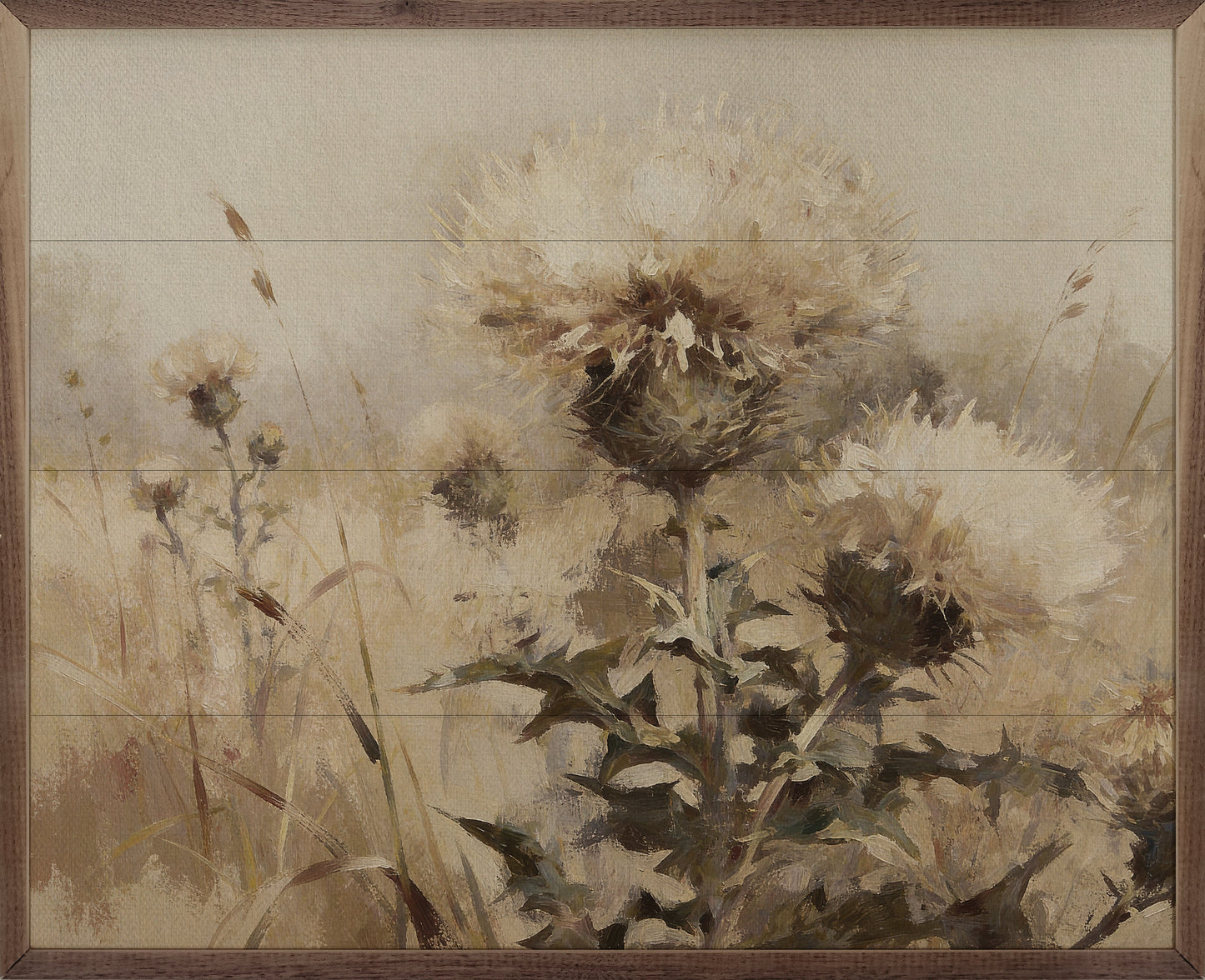 Weathered Thistles In The Meadow