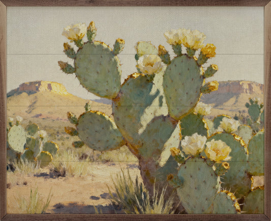 Golden Bloom Cactus
