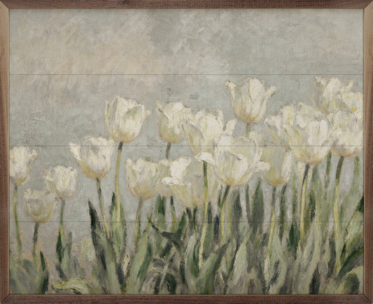 Tulips Patch