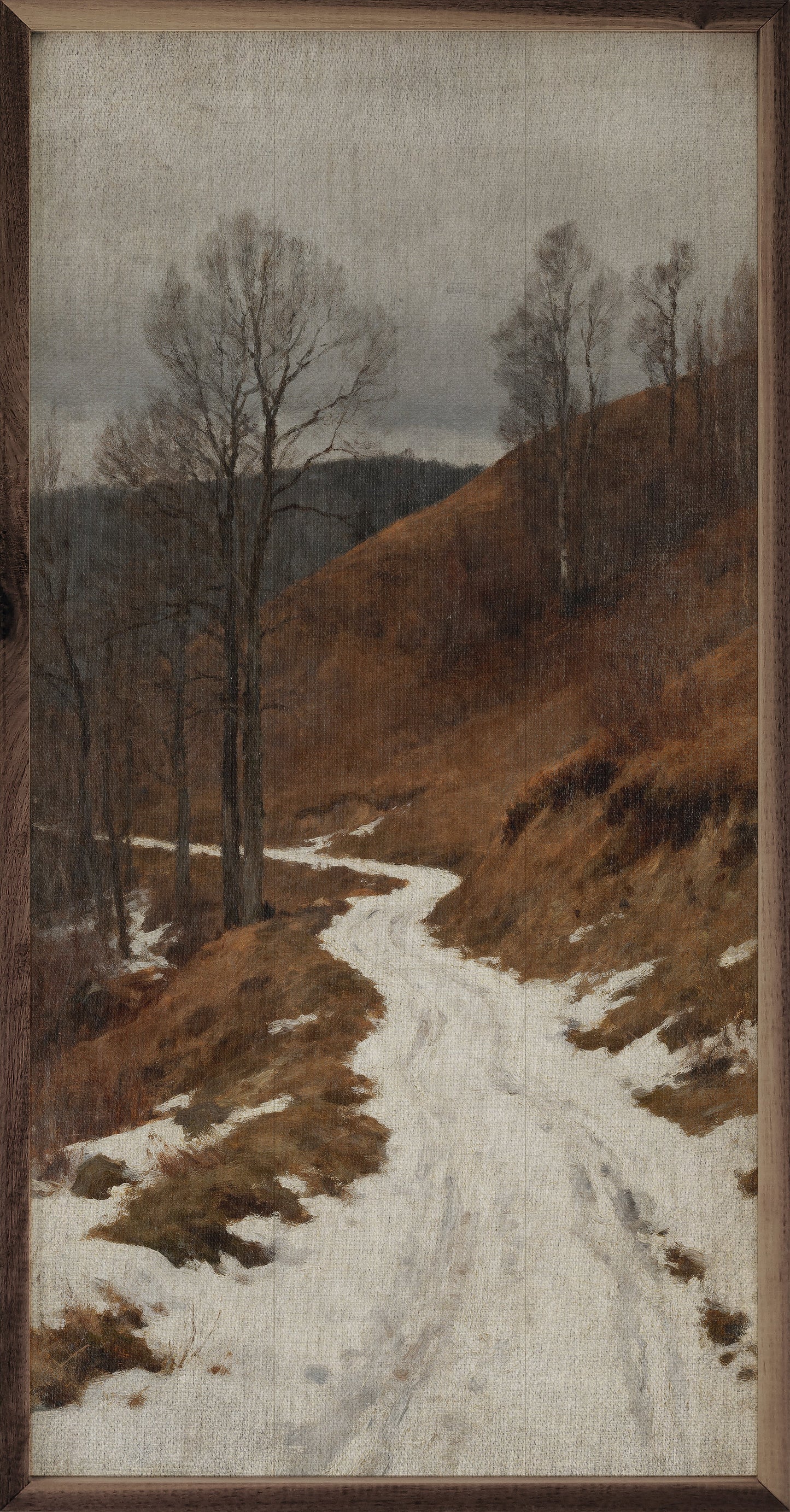 Winter's Snowy Path