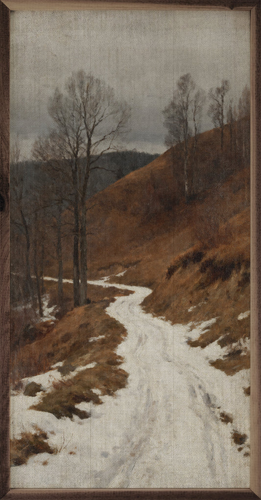 Winter's Snowy Path