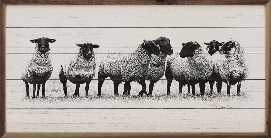 Flock Of Sheep Whitewash - Black Frame image 1