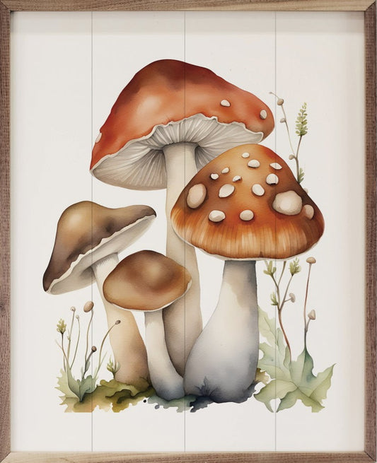 Four Mushrooms White image 0