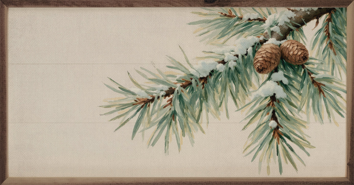 Pine Branch With Snow Horizontal