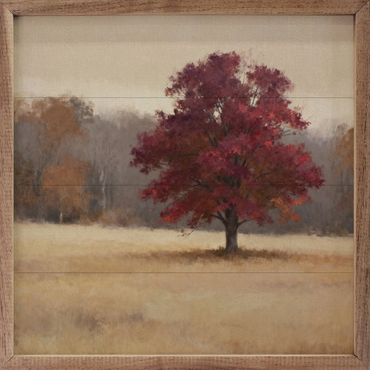 Blaze Maple