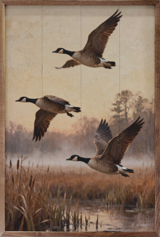 Geese