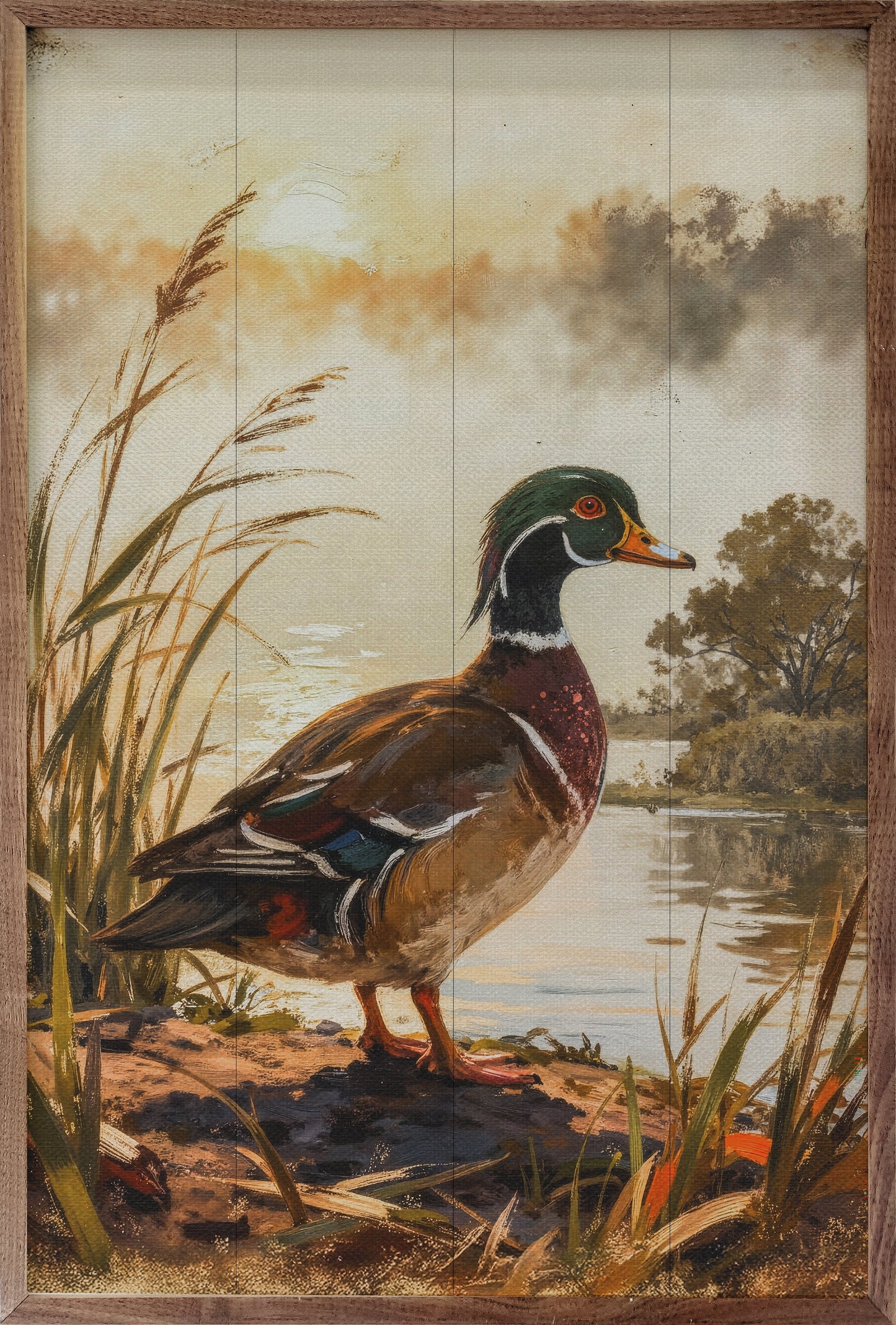 Wood Duck By Water