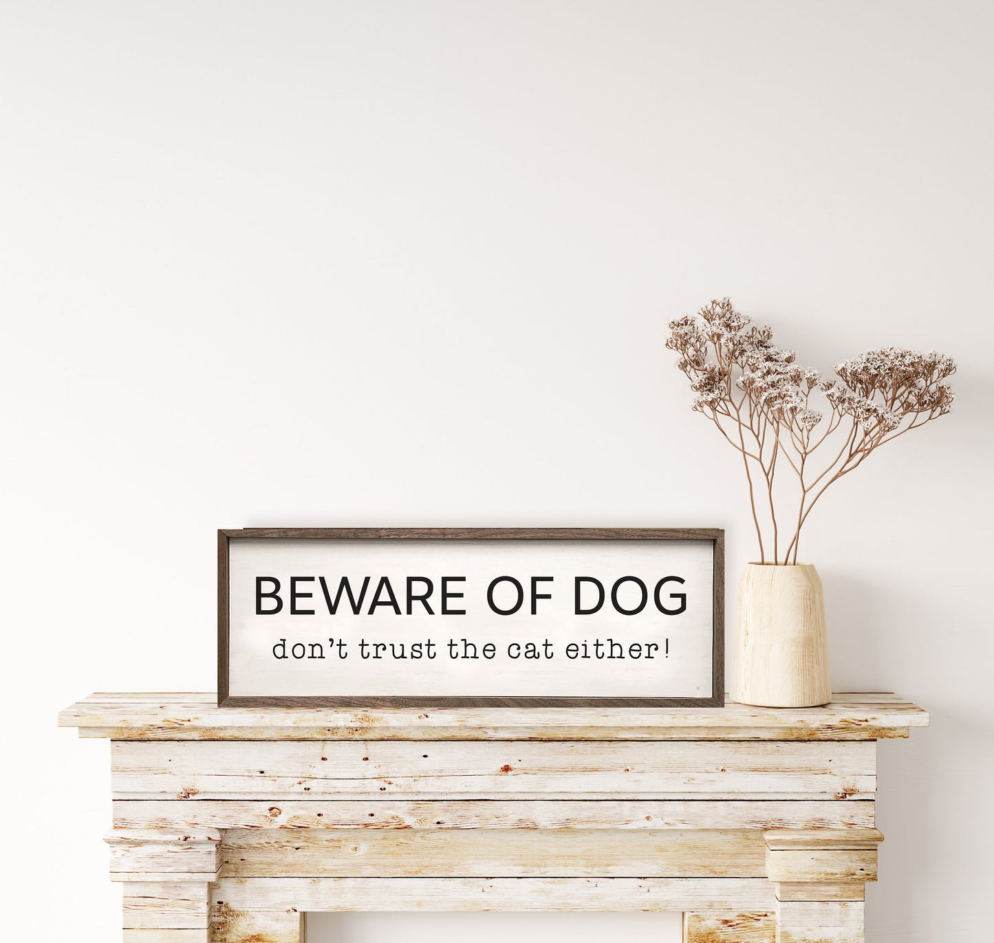 Beware Of The Dog And Cat White