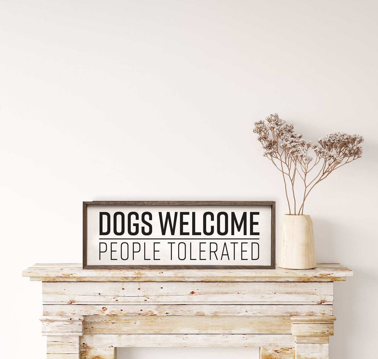 Dogs Welcome People Tolerated White