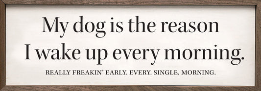 My Dog Is The Reason White