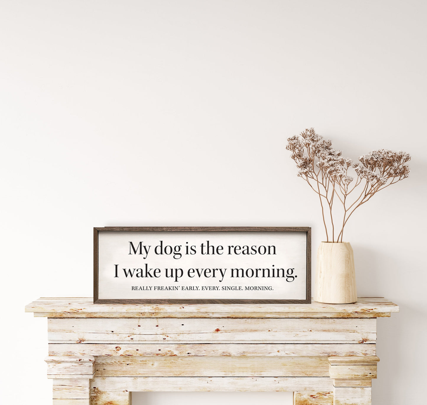 My Dog Is The Reason White