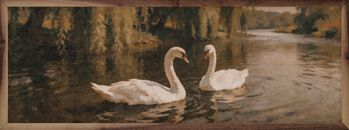Swans Along A Quiet Riverbank