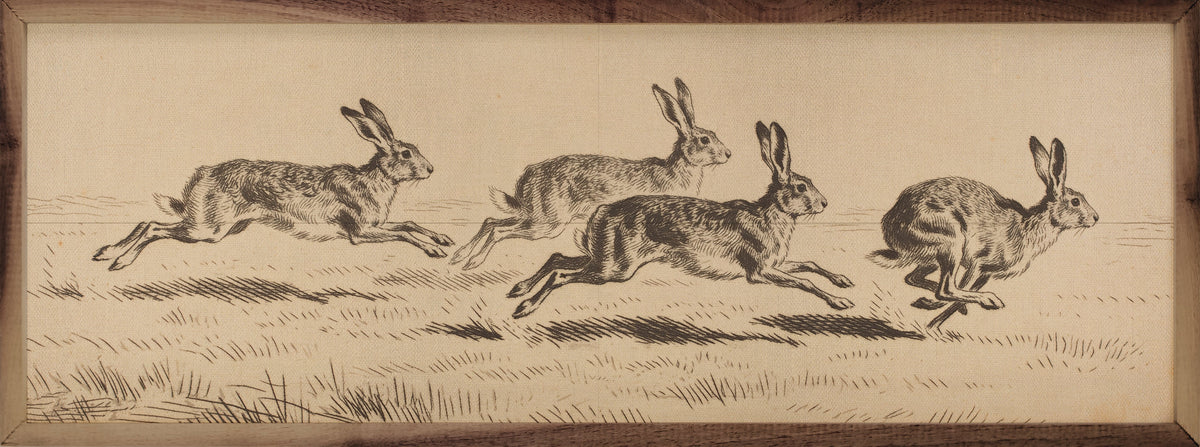 Victorian Rabbit Ink Study
