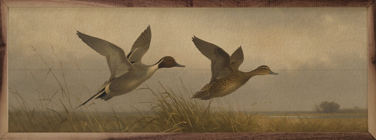 Vintage Flying Pintail Ducks