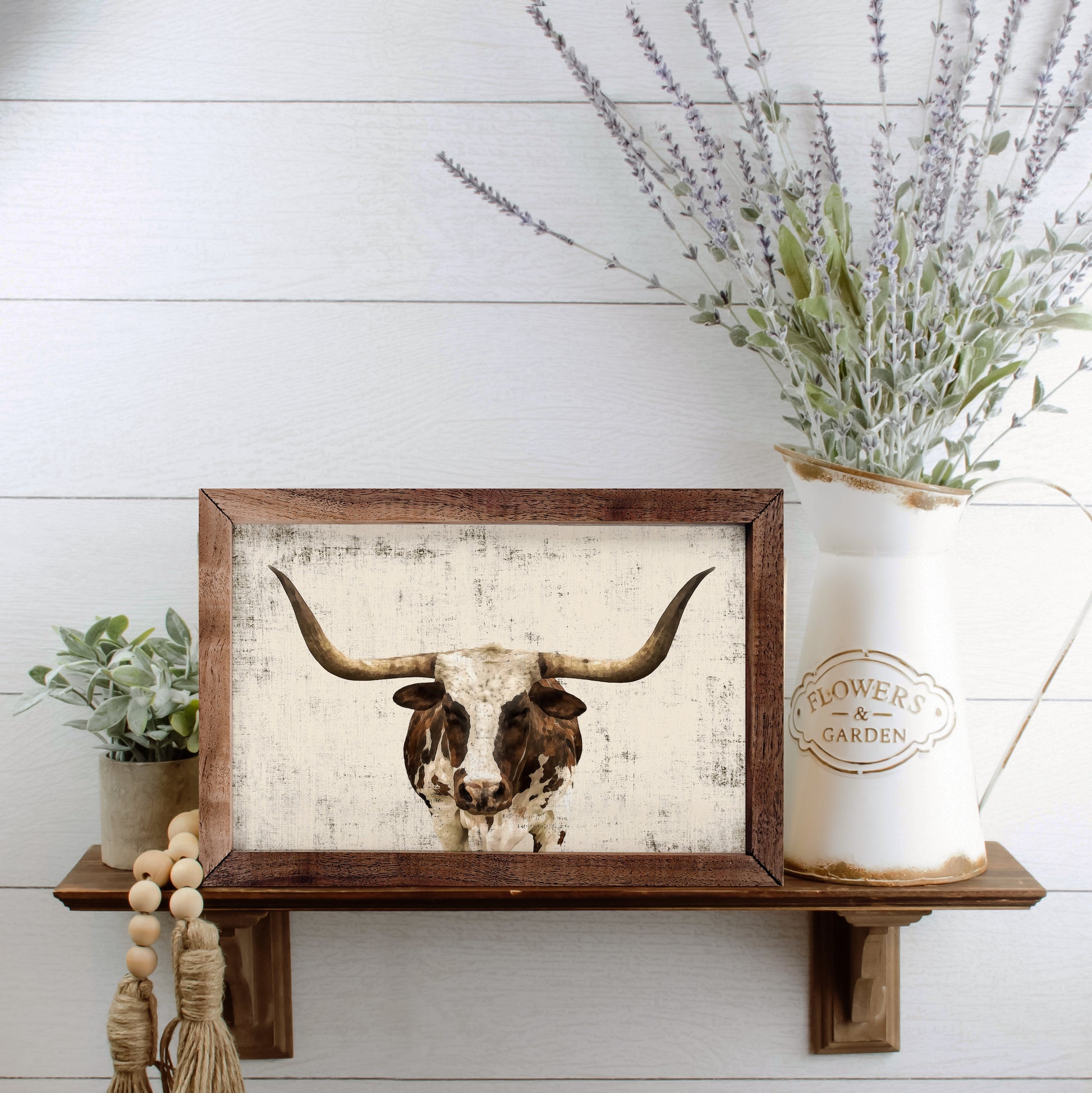 Longhorn Whitewash image 2