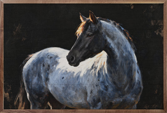 Blue Roan Gaze