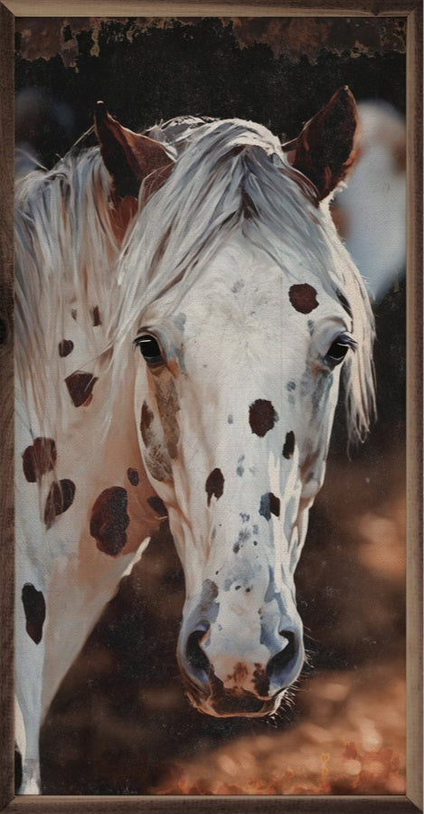 Appy Rusty Horse image 0