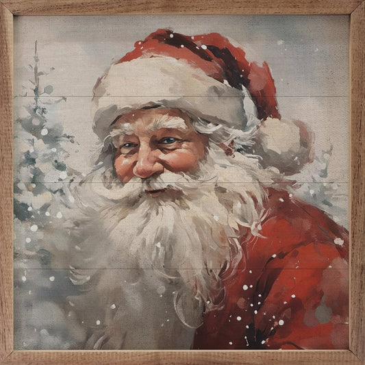 Snowy Portrait image 0
