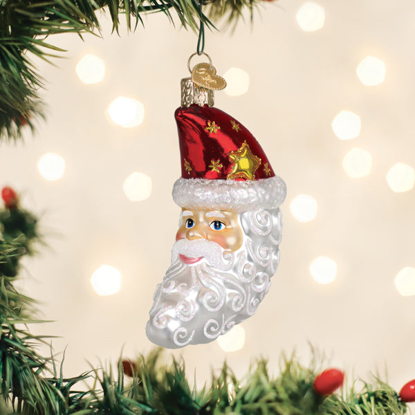 Santa Moon Face Ornament