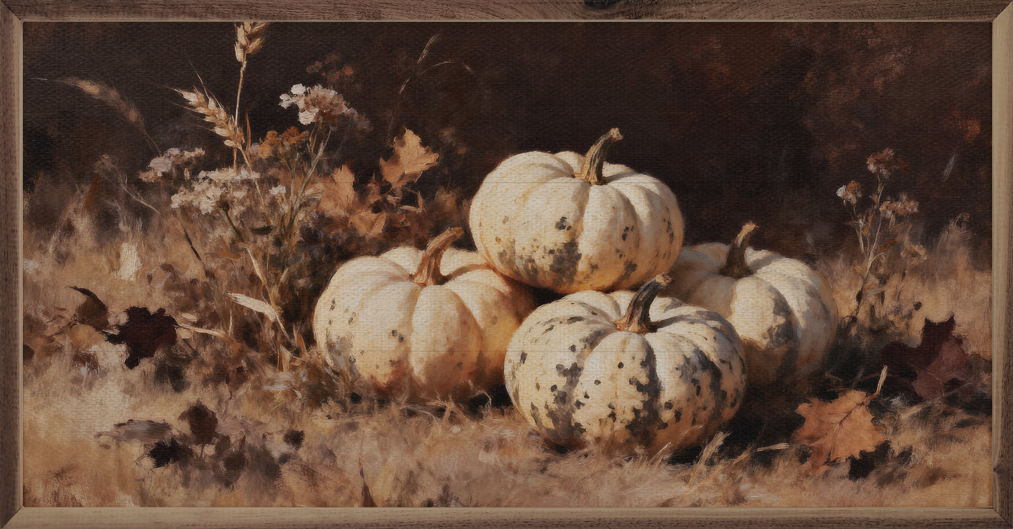 Four White Pumpkins One Speckled