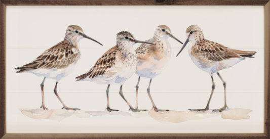 Sandpipers I By Petals Prints Design