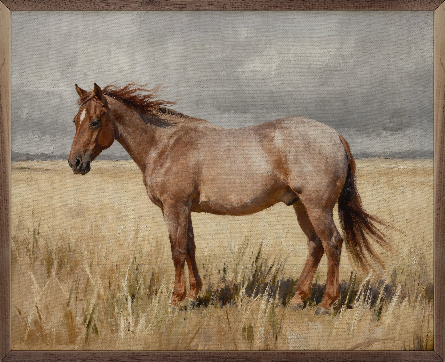 Red Roan In Field
