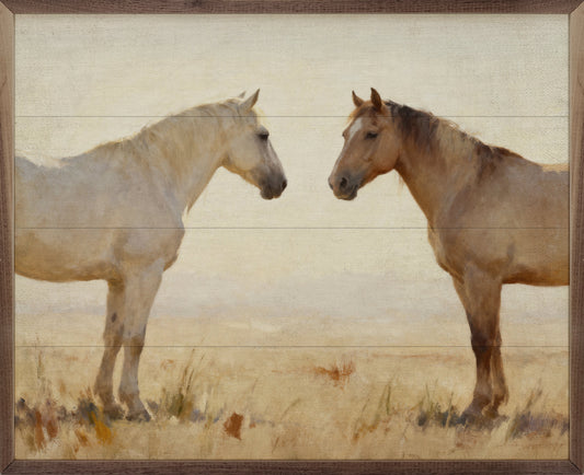 Still Companions