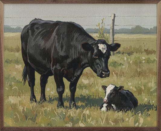 Beef Cow And Baby Laying