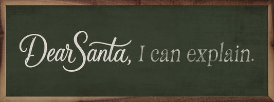 Dear Santa I Can Explain