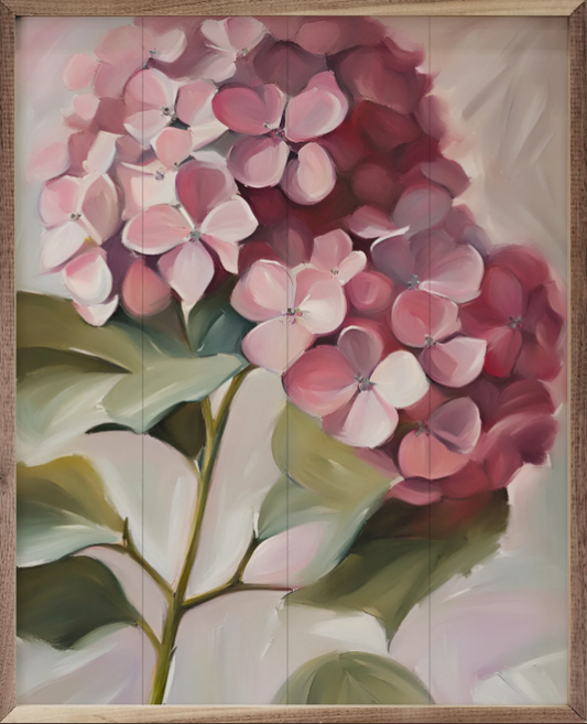 Pink Hydrangea image 0
