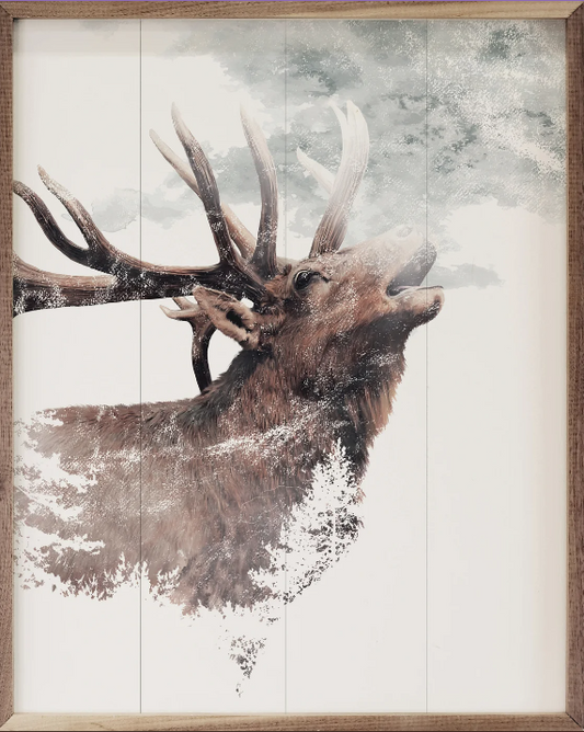 Bugling Elk image 0