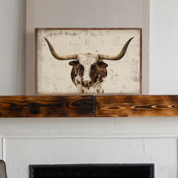 Longhorn Whitewash image 1