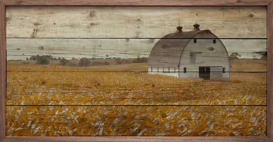 Harvest Cornfield image 0