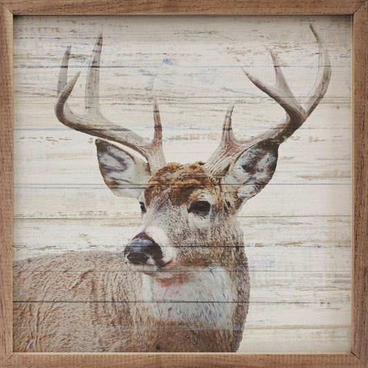 Whitetail Whitewash image 0