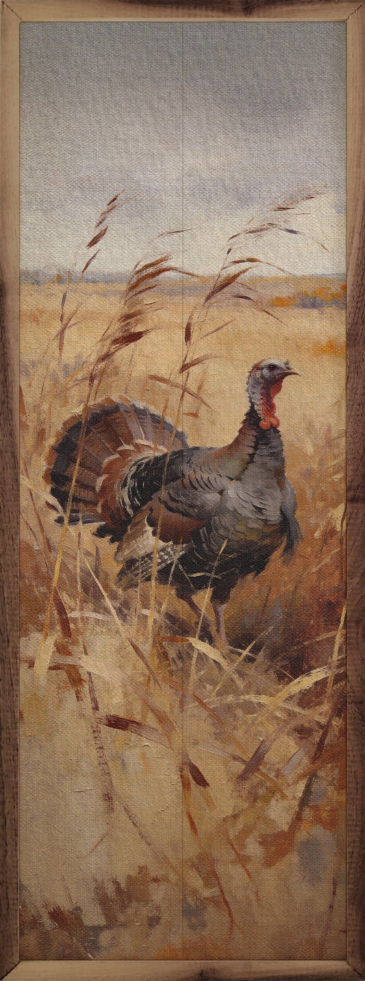 Prairie Turkey In Fall Grass